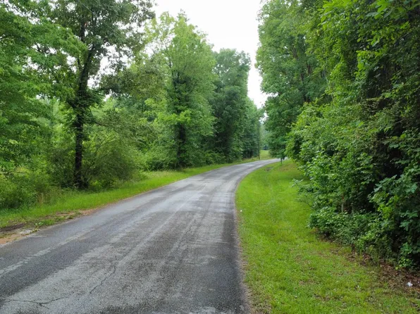 0 County Road 81, Fayette, AL 35555