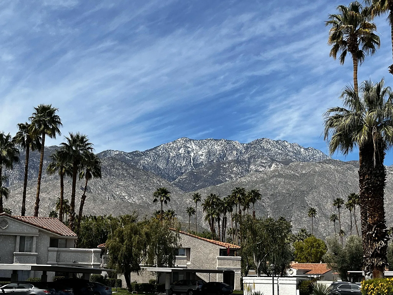 2 bed, 1175 sqft, $2,850 — Photo 4