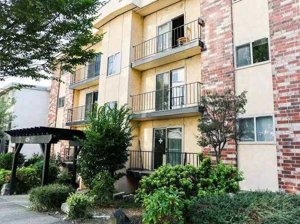 Cedar Apartments