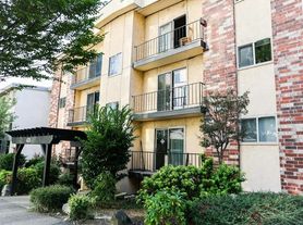 Cedar Apartments