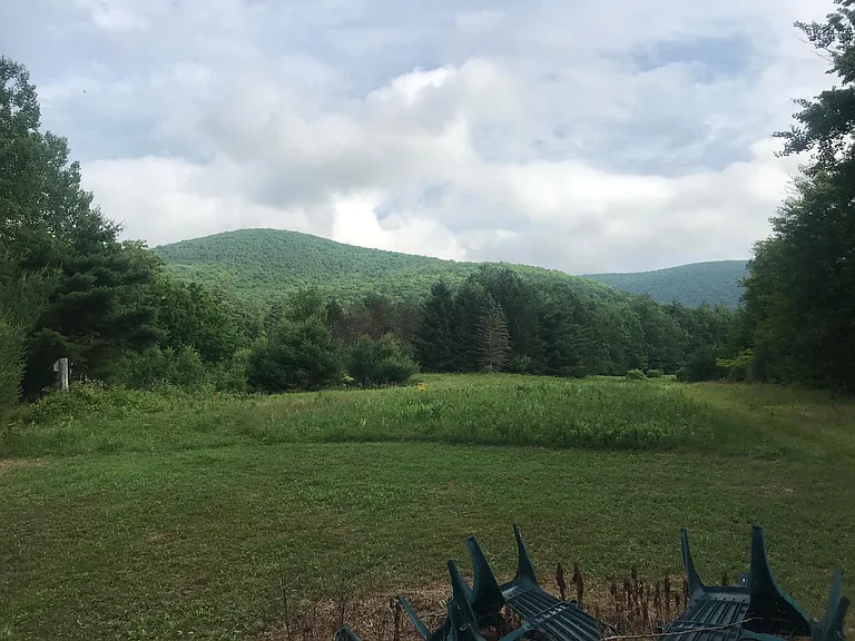 Fire pit with West Kill Mountain in the back drop.