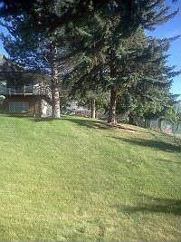 rear view of side yard