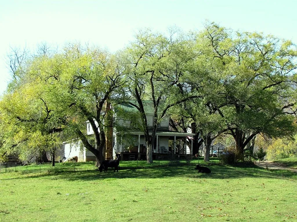2264 White Hall Rd photo 1