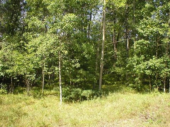 2nd image of 56 Oak Dr