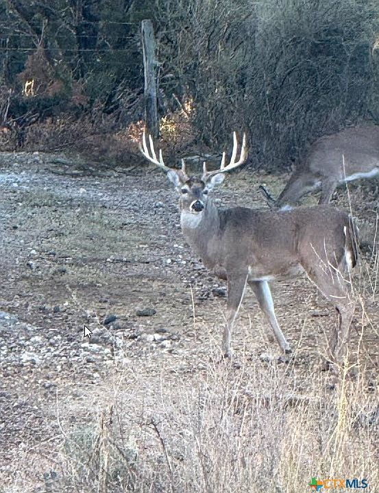 1st image of 1218 Private Road 1377