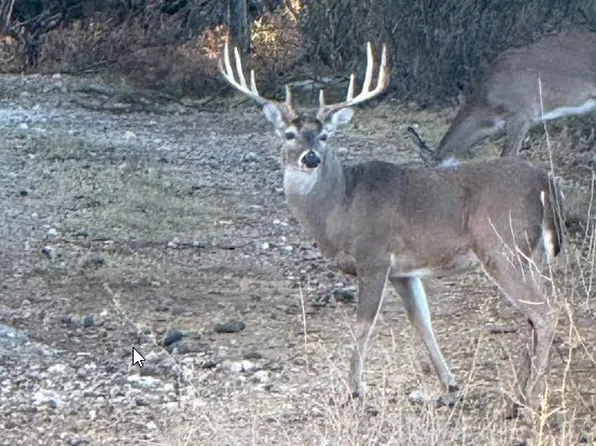 1218 Private Road 1377, Lampasas, TX 76550