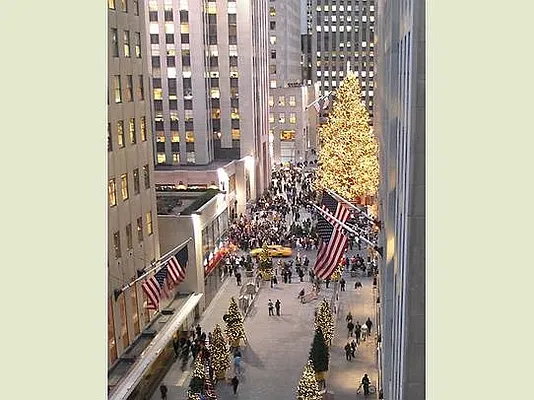 Rented by Stribling | media 20