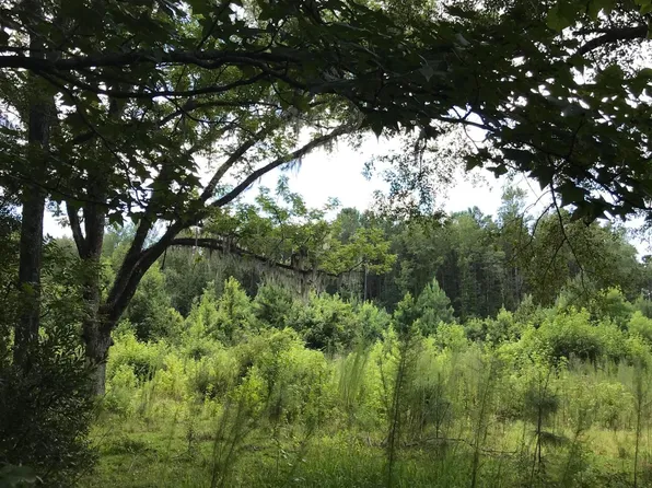 761 Griffith Acres Dr, Cottageville, SC 29435