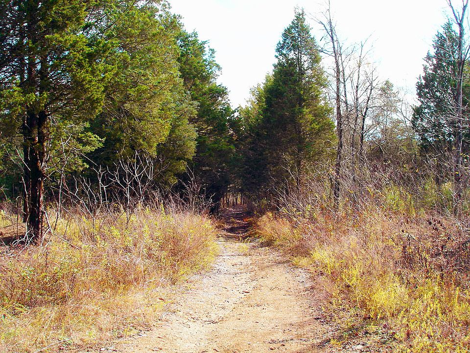 2nd image of Henry Ln