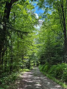 273 Guyette Road, Lowell VT - Owner Finance Home
