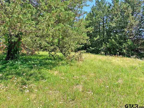 4th image of 12259 County Road 1168