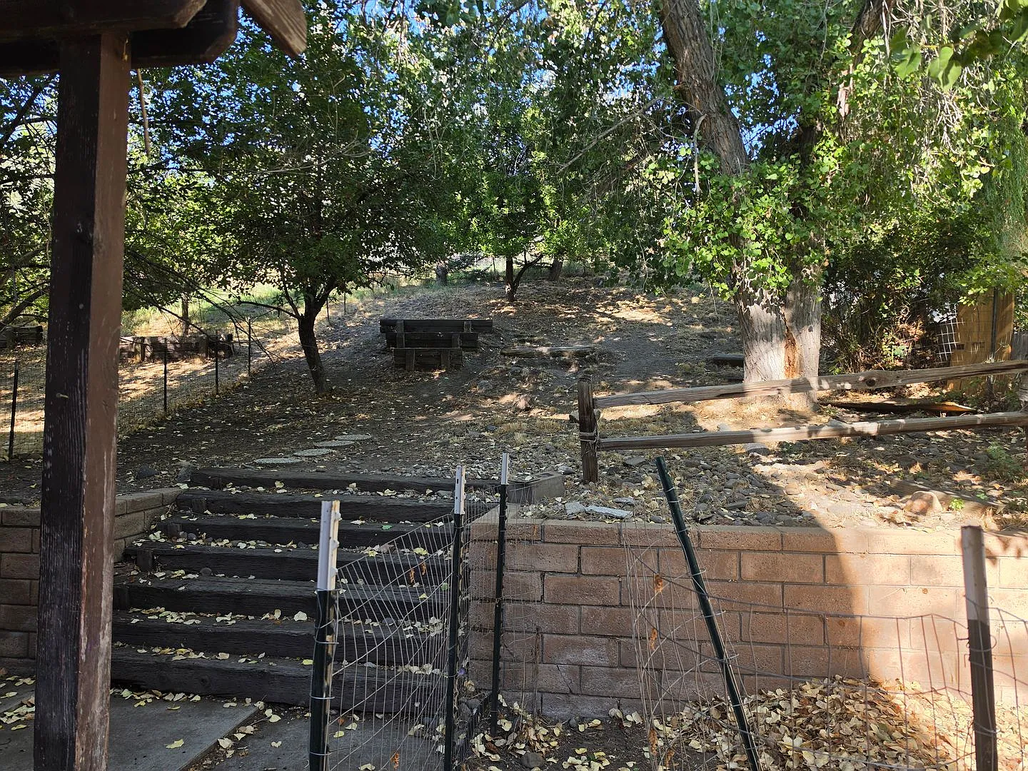 Minnesota — Photo 3
