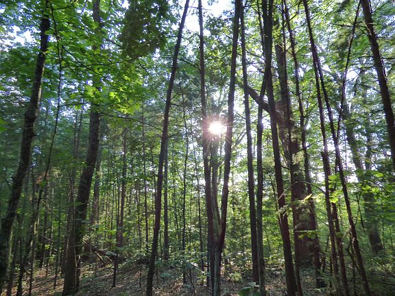 4th image of 4 Powdermill Estates Rd