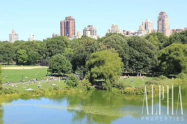 Rented by Alpha Properties NYC I LLC