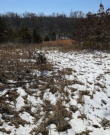 5th image of 24020 County Road 308