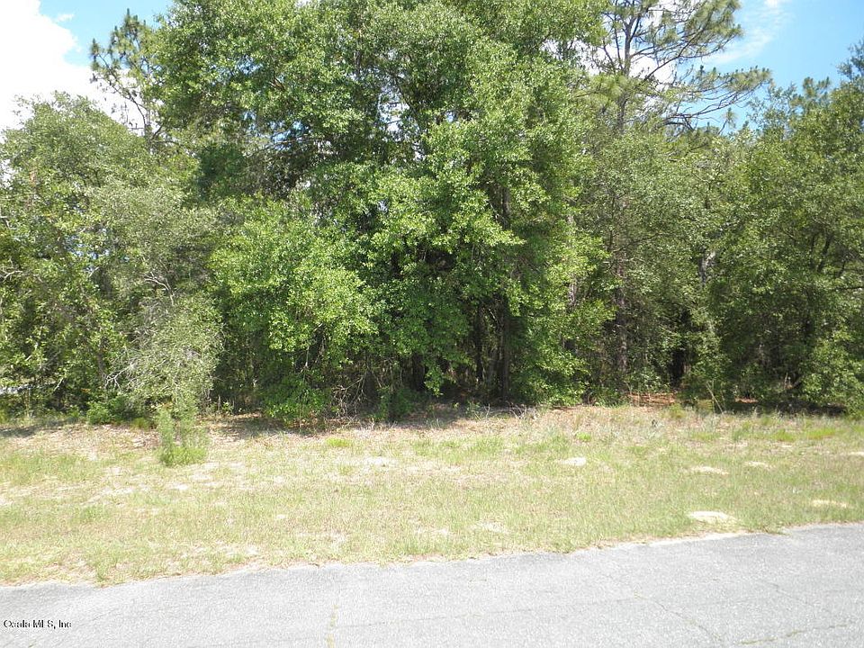2nd image of 11137 N Morrell Dr