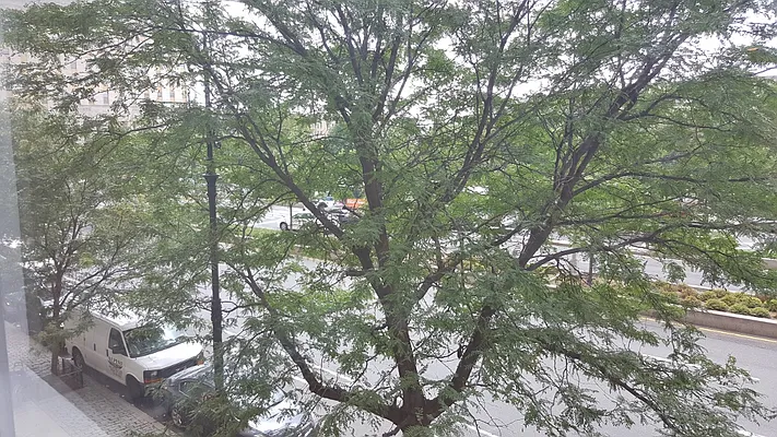 Rented by Luxor Homes & Investment Realty | media 9