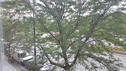 Rented by Luxor Homes & Investment Realty