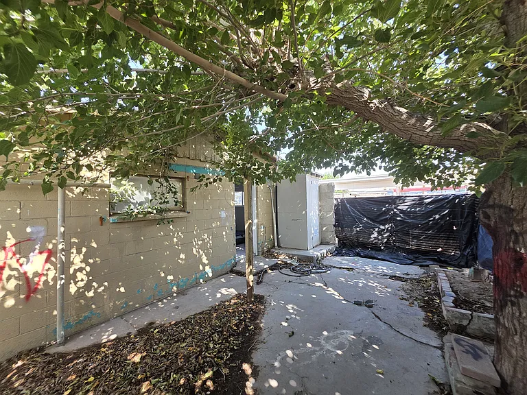 Small backyard with privacy screening.