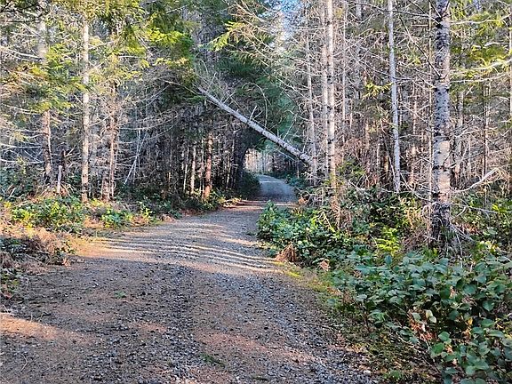 4th image of 0 Skate Creek Rd S