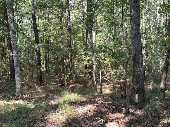 176 Hammond St, Hornbeck, LA 71439