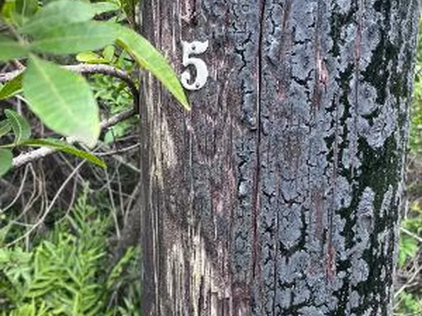 Holowai Rd Lot 17, Naalehu, HI 96772