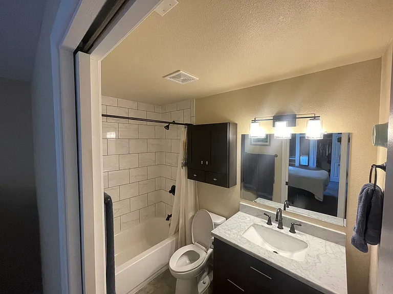Master en-suite bathroom (downstairs)