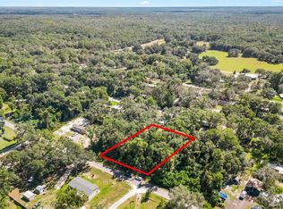 TBD CR 690 LOT 5, WEBSTER, FL 33597