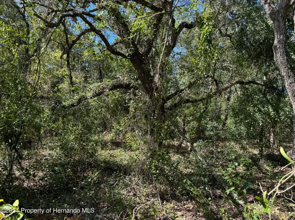 18213 McMullen Rd, Spring Hill, FL 34610