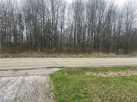 4th image of 744 Carson Salt Springs Rd