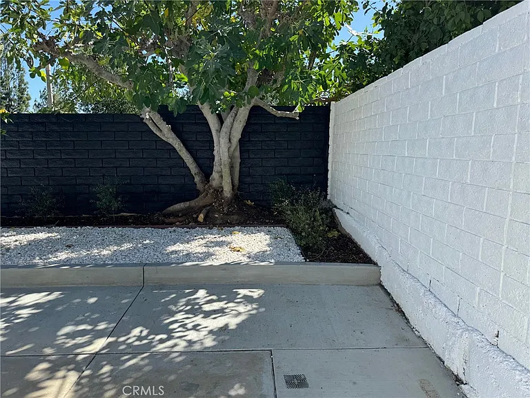 30872 Overfall Dr — Photo 4
