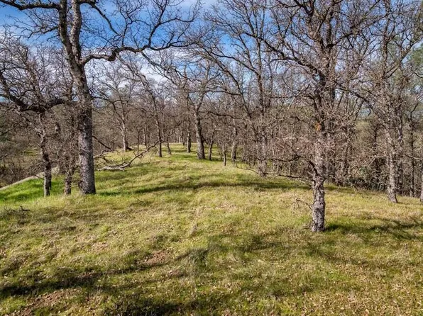NULLC Quail Ridge Rd, Cottonwood, CA 96022