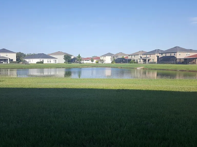 View from patio