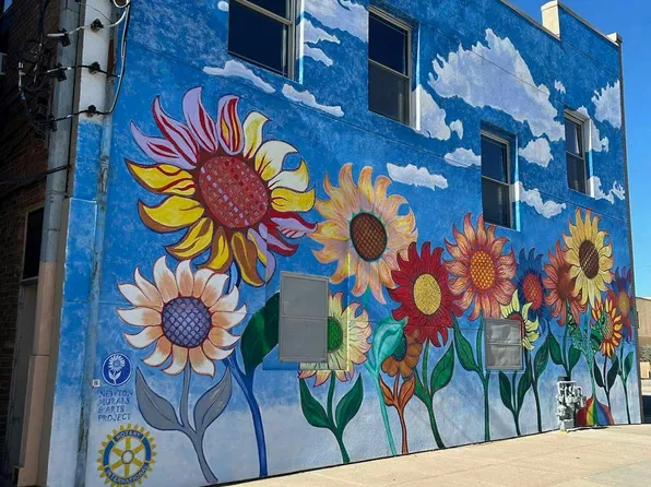 109 1/2 E 6th St, Newton, KS 67114