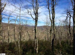 Spruce Ln, Zirconia, NC 28790