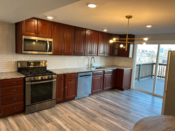 119 Pius St, Pittsburgh, PA 15203