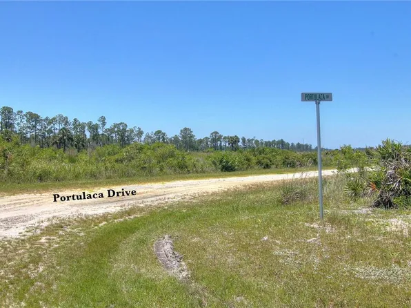 Portulaca Dr Lot 4, Indian Lake Estates, FL 33855