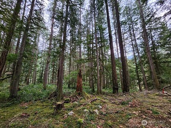 3rd image of 0 Cascade River Road