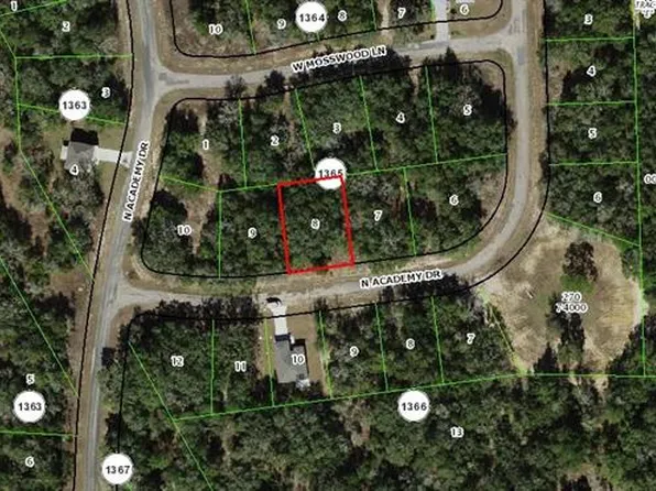 11163 N Academy Dr Lot 80, Dunnellon, FL 34434