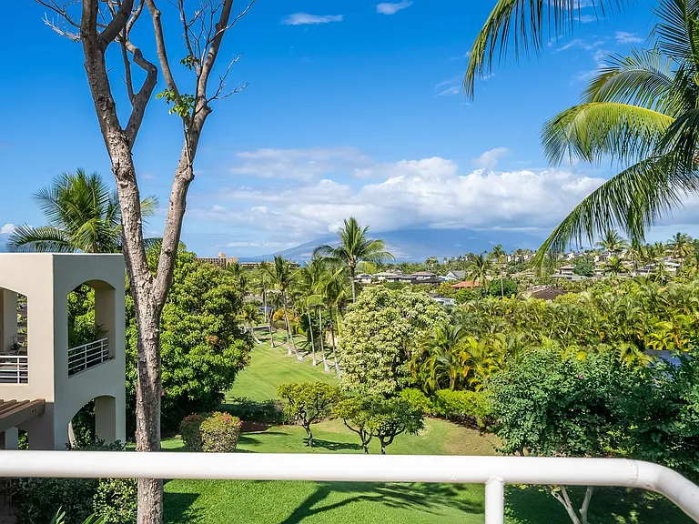 3150 Wailea Alanui Dr #3508 — Photo 5