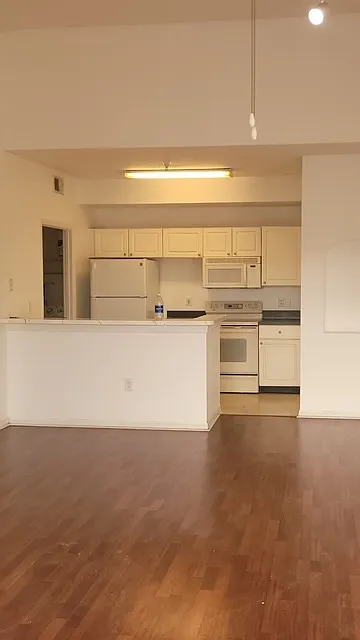1 bed, 786 sqft, $1,250 — Photo 2