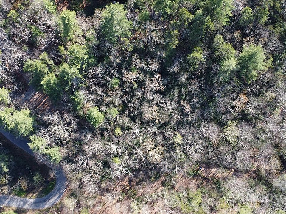 2nd image of 217 Oak Ridge Rd