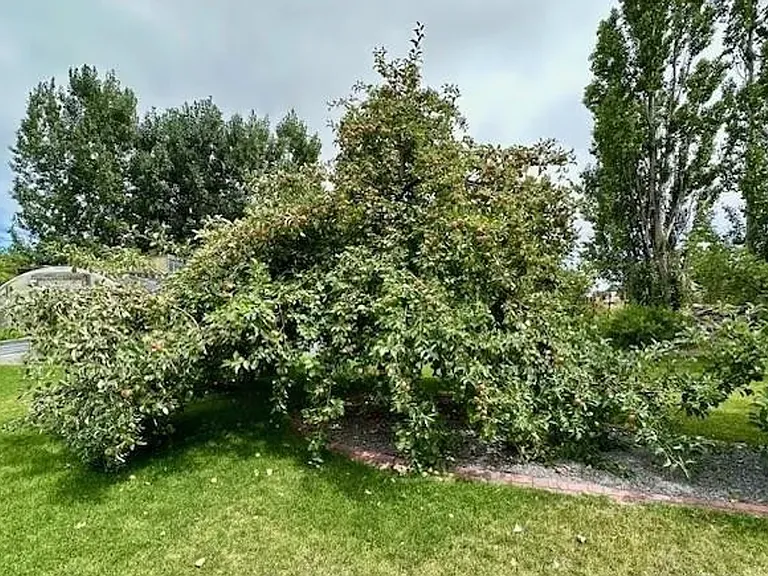 2 N 3737 E — Photo 27