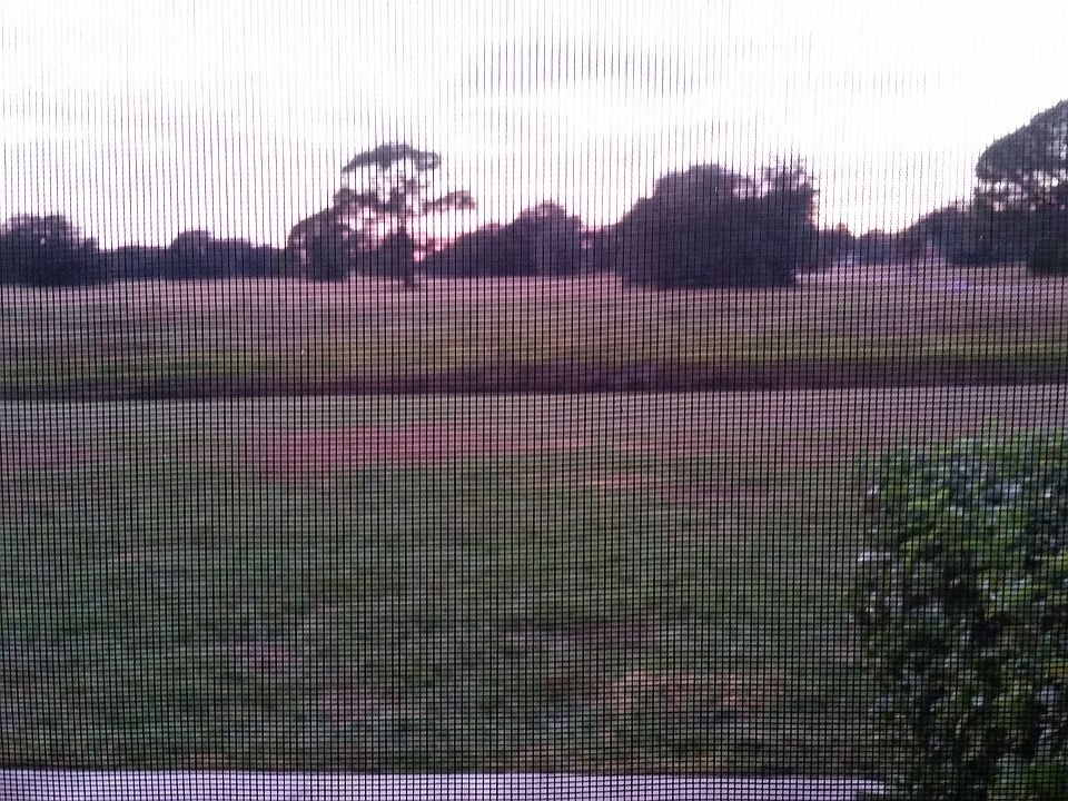 Back View from screened in porch - first floor