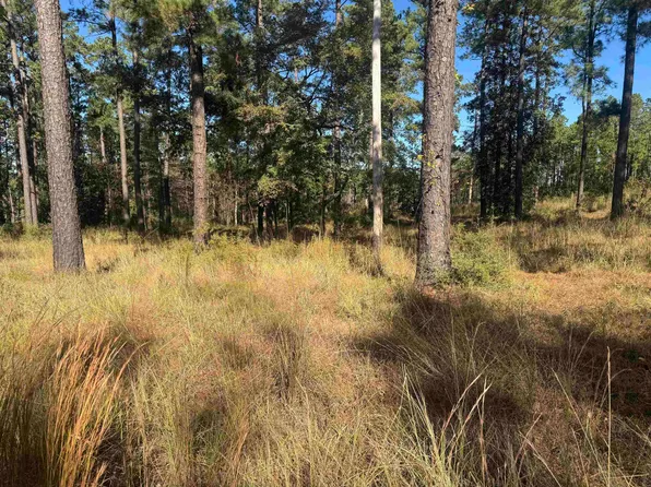 63 Private Road 6028, Brookeland, TX 75931