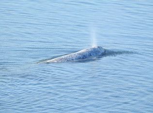 955 Condra Ln, Oak Harbor, WA 98277