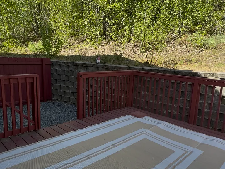 Back Patio