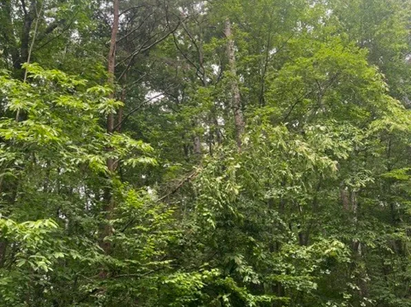 111 Falls Dr, Westminster, SC 29693