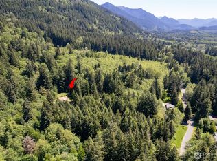 0 Mount Tahoma Canyon Rd E, Ashford, WA 98304