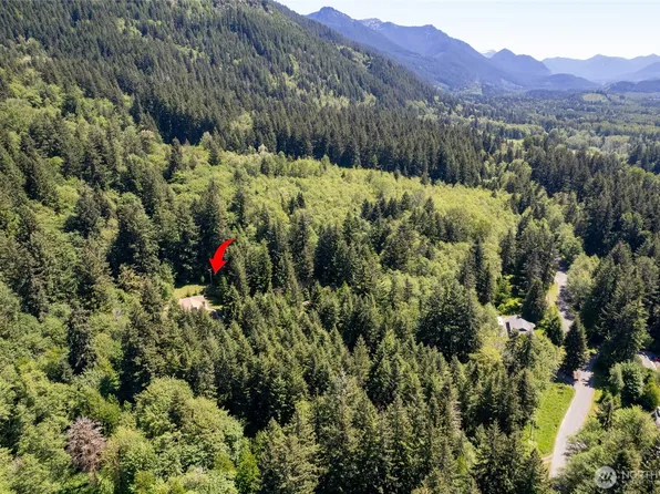 0 XXXX Mt Tahoma Canyon Road E, Ashford, WA 98304
